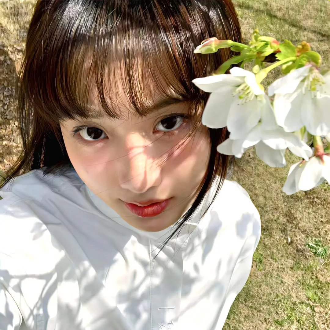 苍兰诀